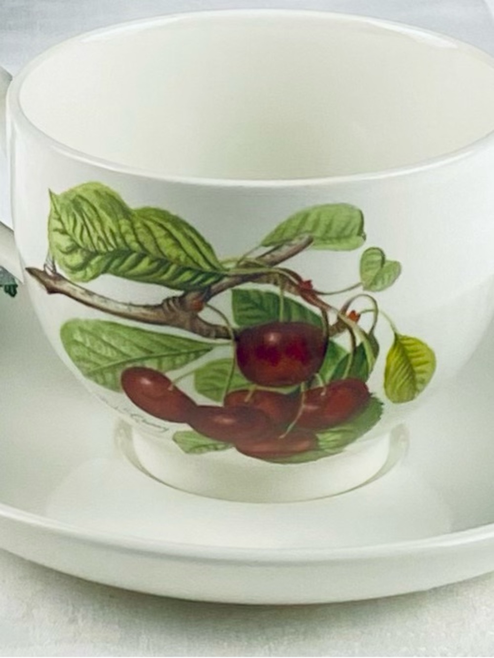 Traditional Footed Cup and Saucer Set By Portmeirion Duke Cherry Pattern: PRTPOM